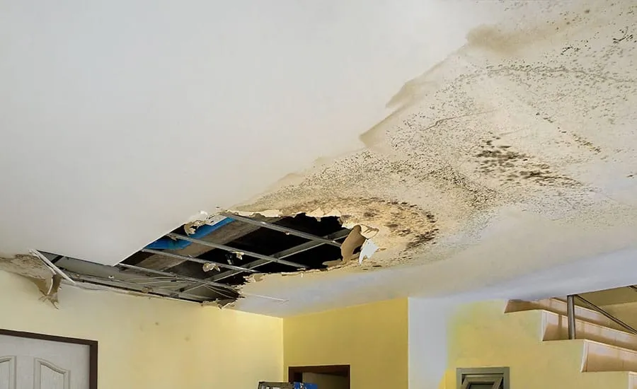 Ceiling and wall finishes being reinstated after water damage in a London home